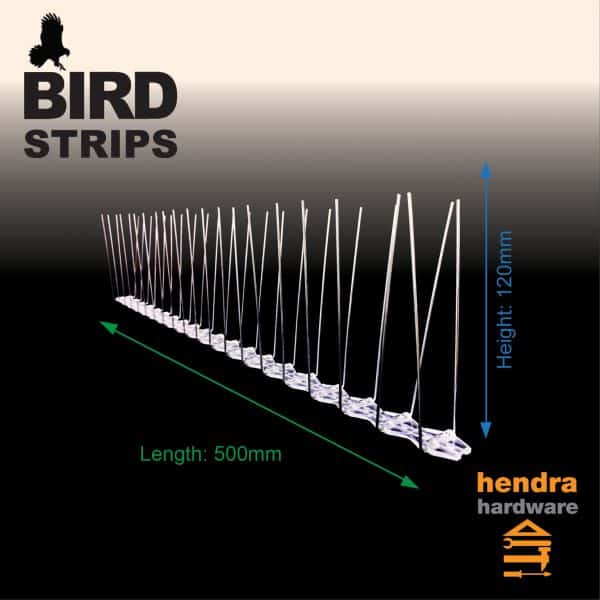 BIRD SPIKES Large Twin Spikes Dimension