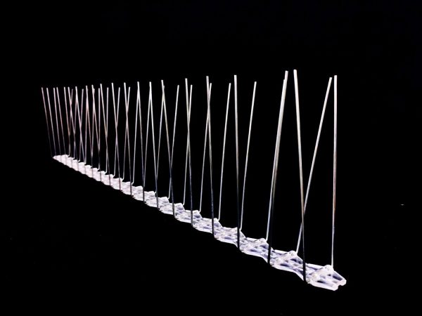 BIRD SPIKES Large Twin Spikes - 25 Meters