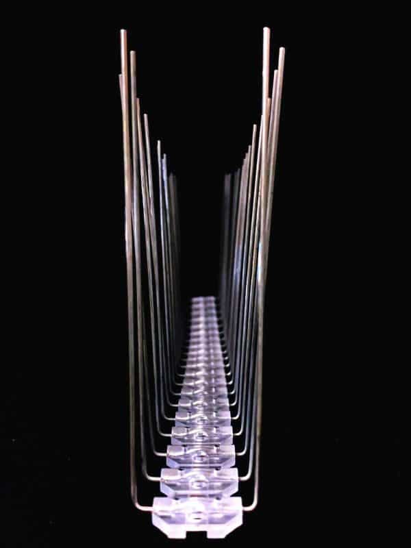BIRD SPIKES Large Twin Spikes - 25 Meters