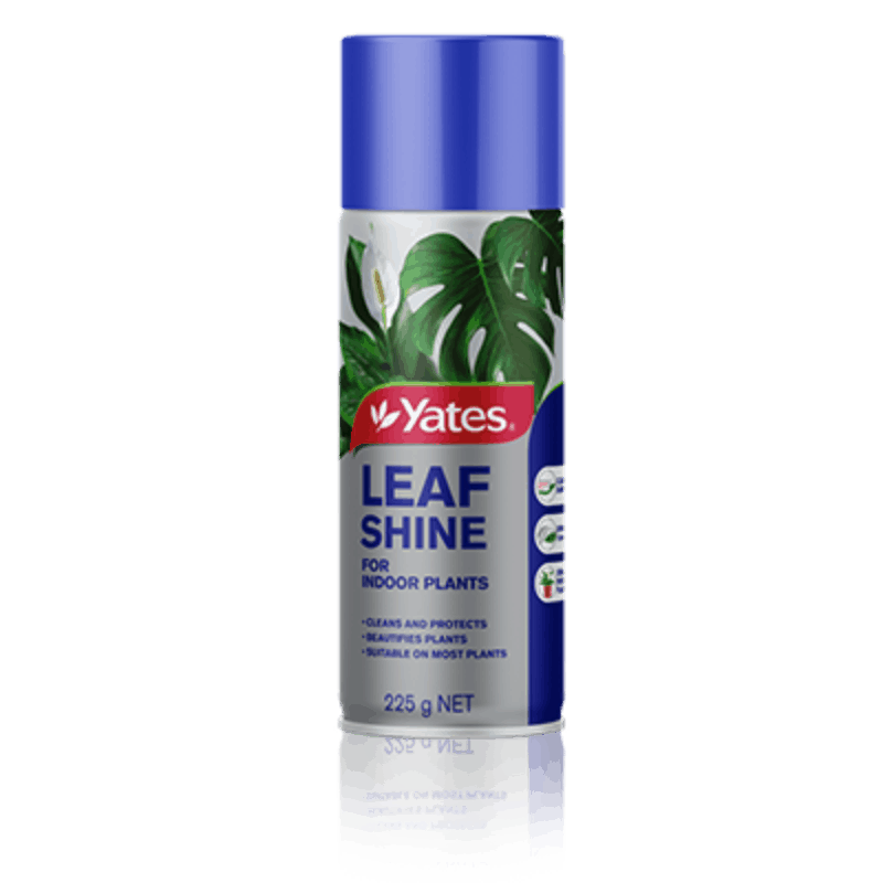 Yates Leaf Shine 225g Aerosol