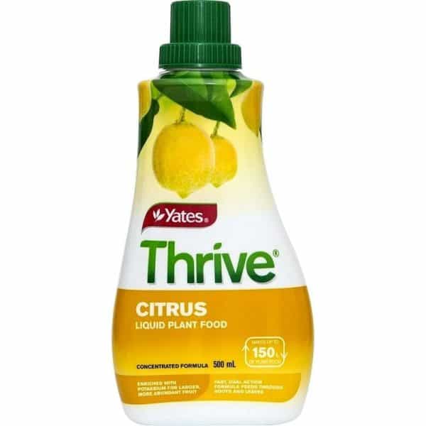 Yates Thrive Liquid Plant Food Citrus 500ml
