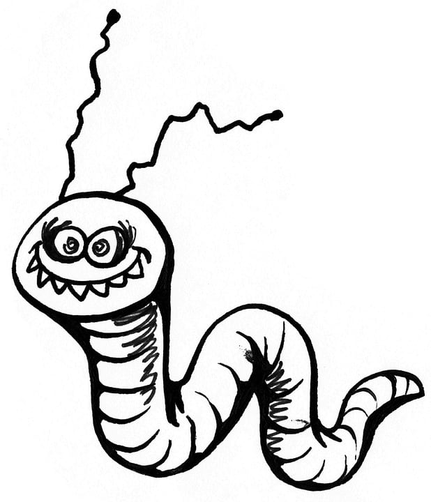Armyworms