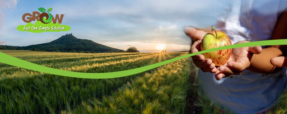 Grow Organic Banner