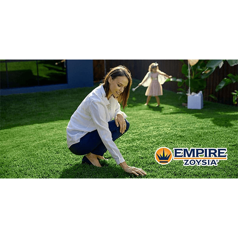 Empire Zoysia Turf Grass