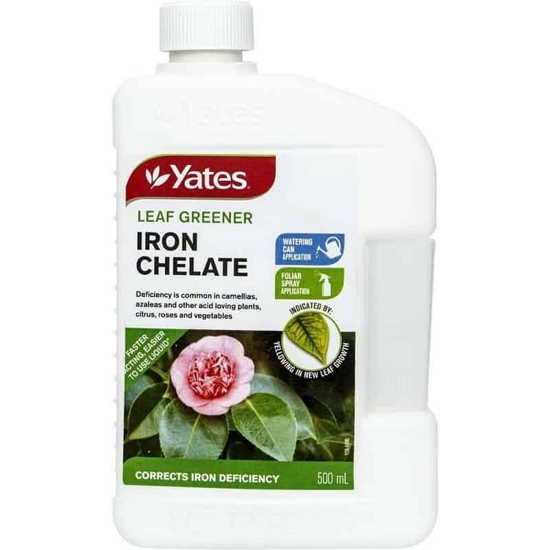 Yates IRON CHELATE