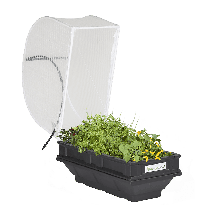 Small Vegepod with open lid displaying green herbs