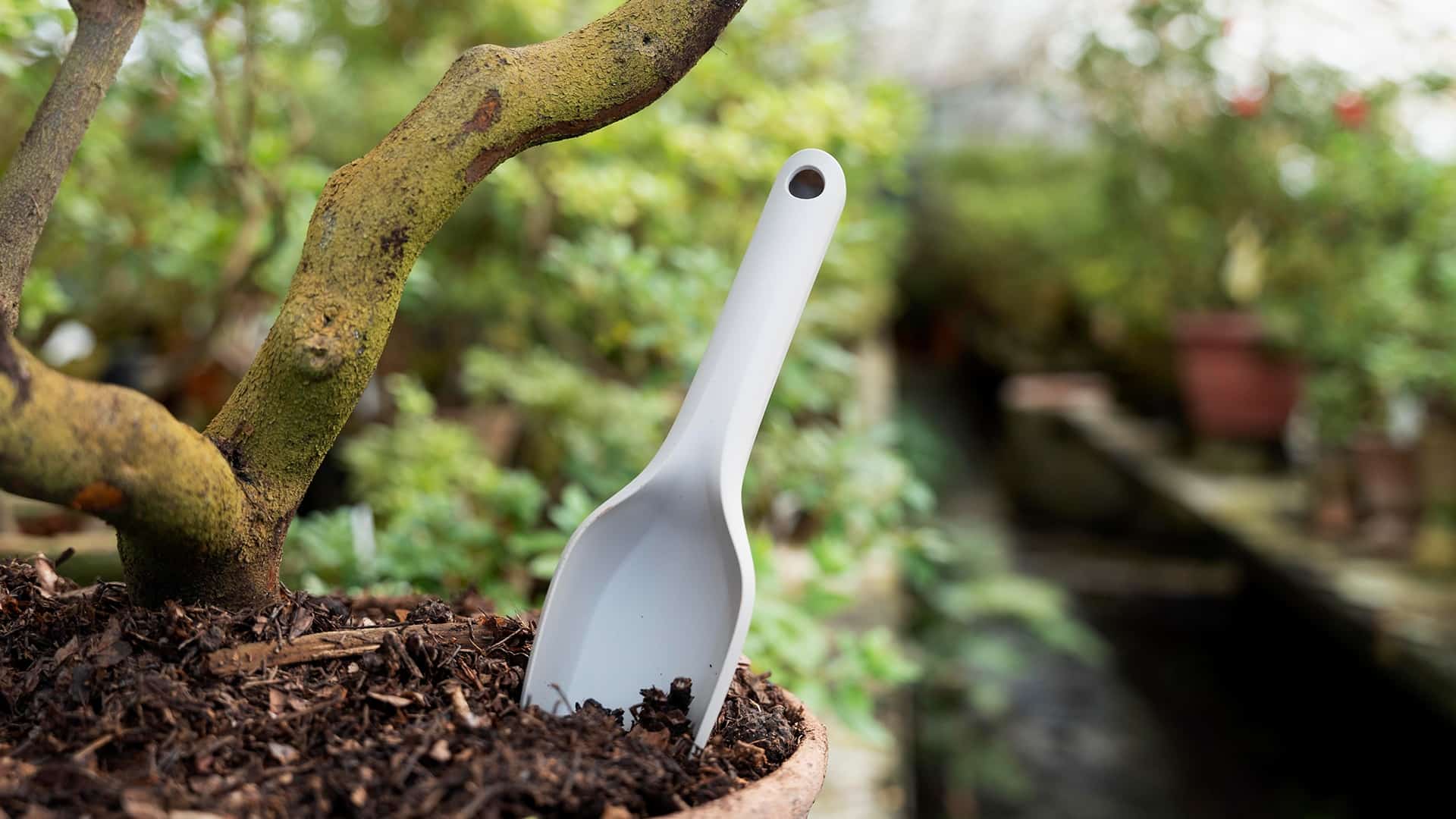 Choosing the right potting mix: Everything you need to know about it
