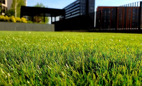 Turf Supply Information Guide