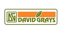 David Grays