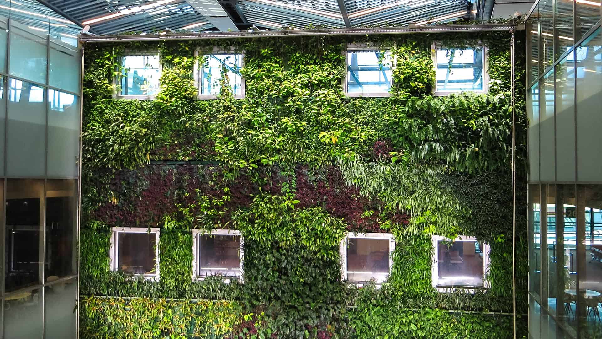 Picture of a Vertical Garden