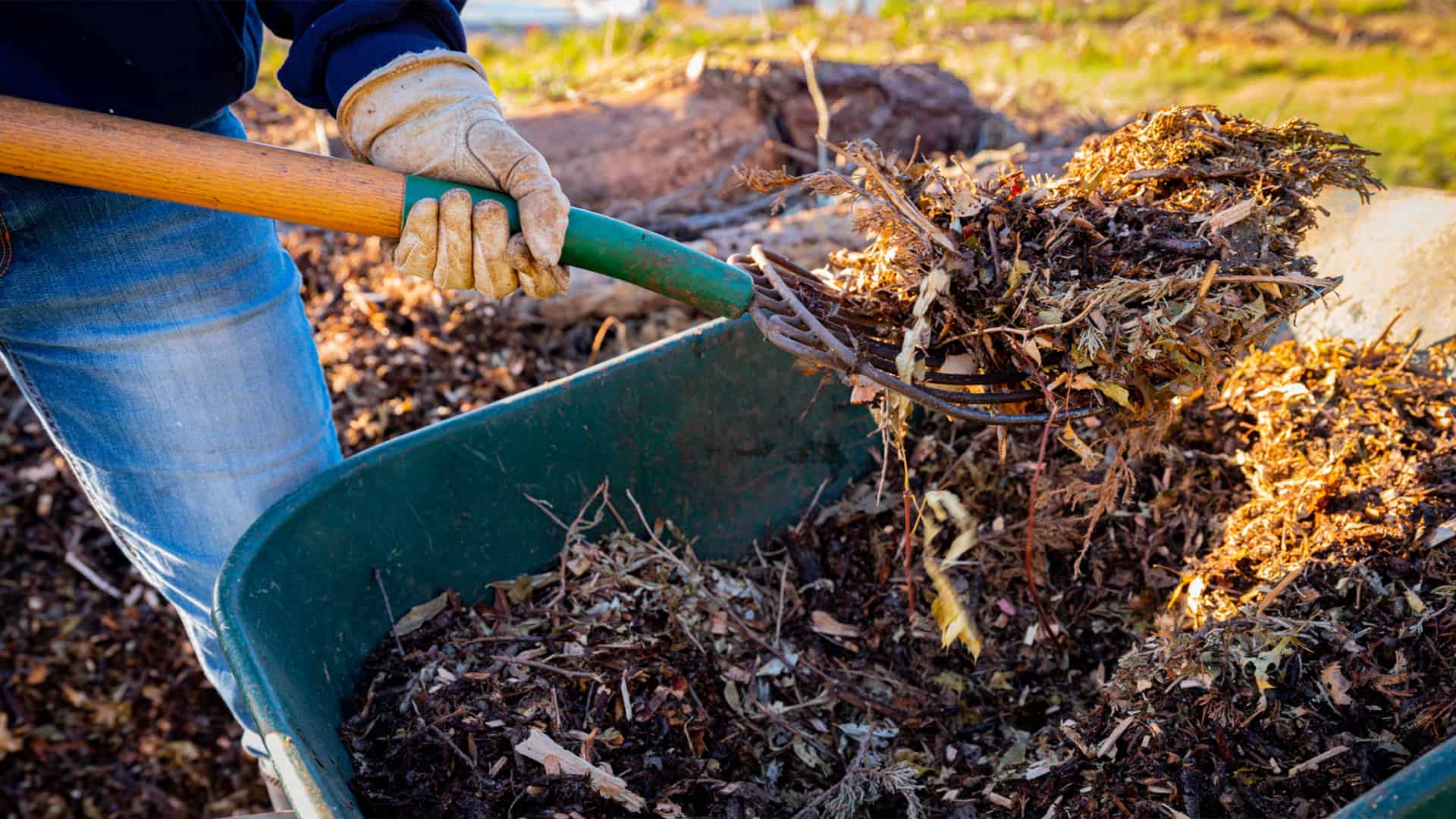 what is mulch