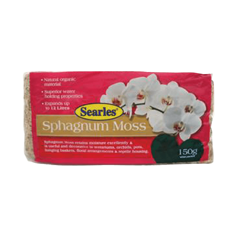sphagnum
