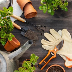 Garden Maintenance