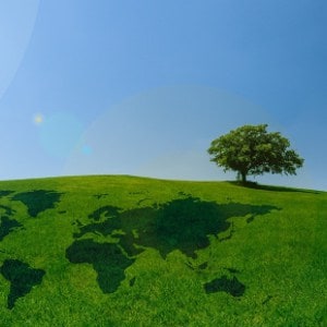 Eco-Friendly