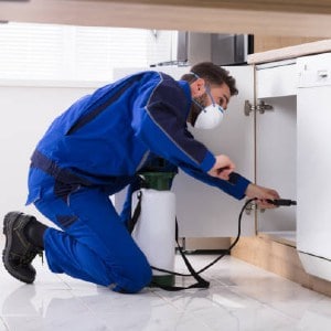 Pest Control